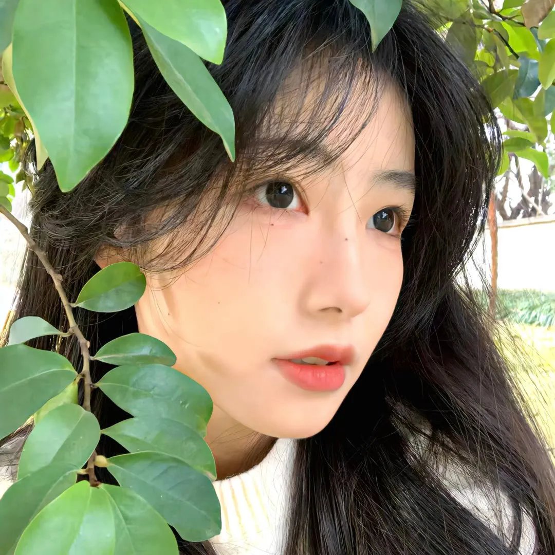 吃人的素食者