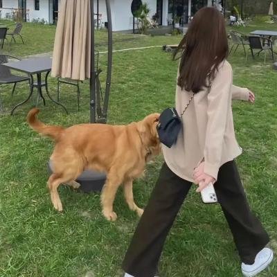 爱无尽头